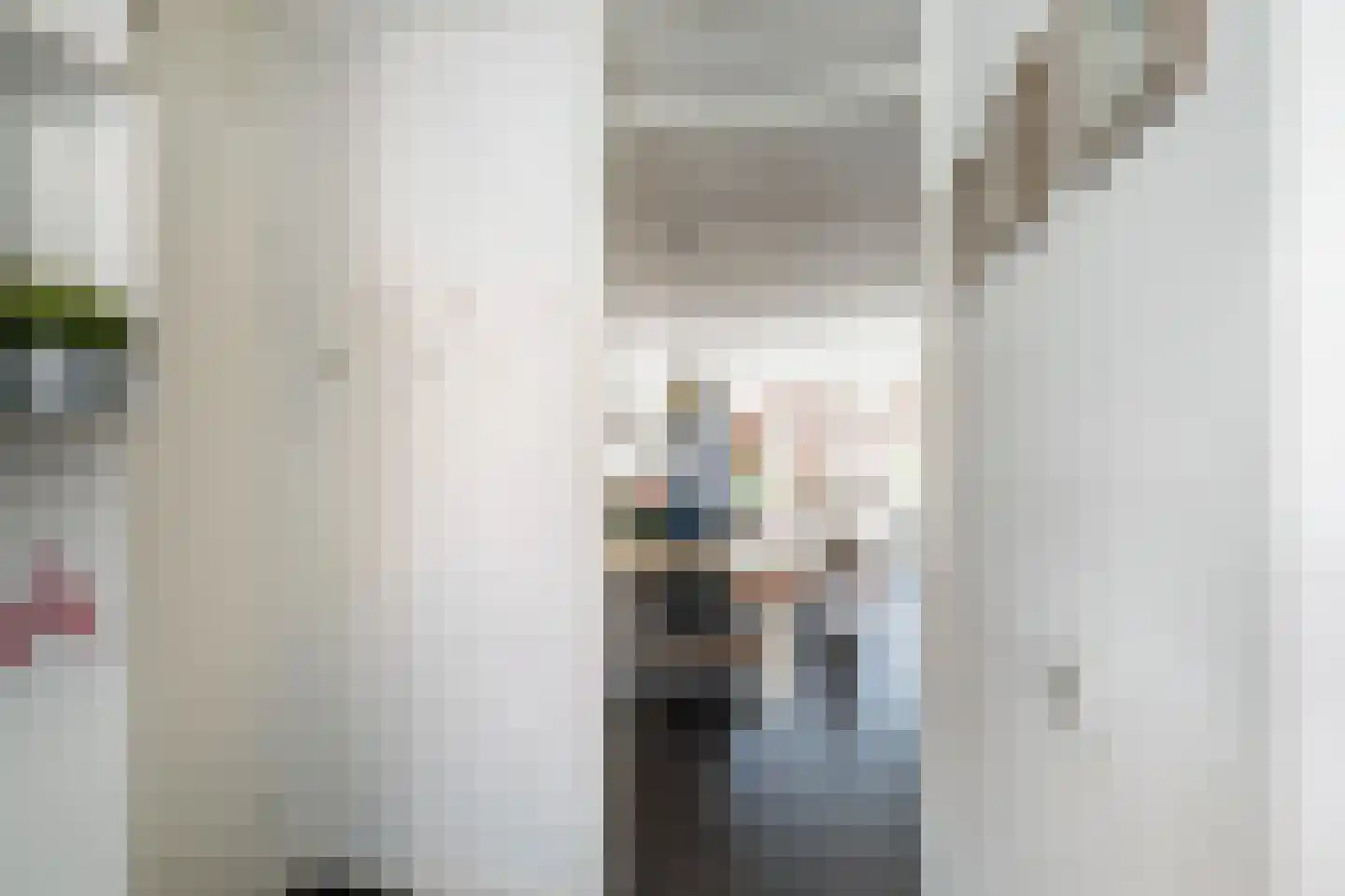 Burg. Van Reesstraat 17 Maassluis thumbnail 7