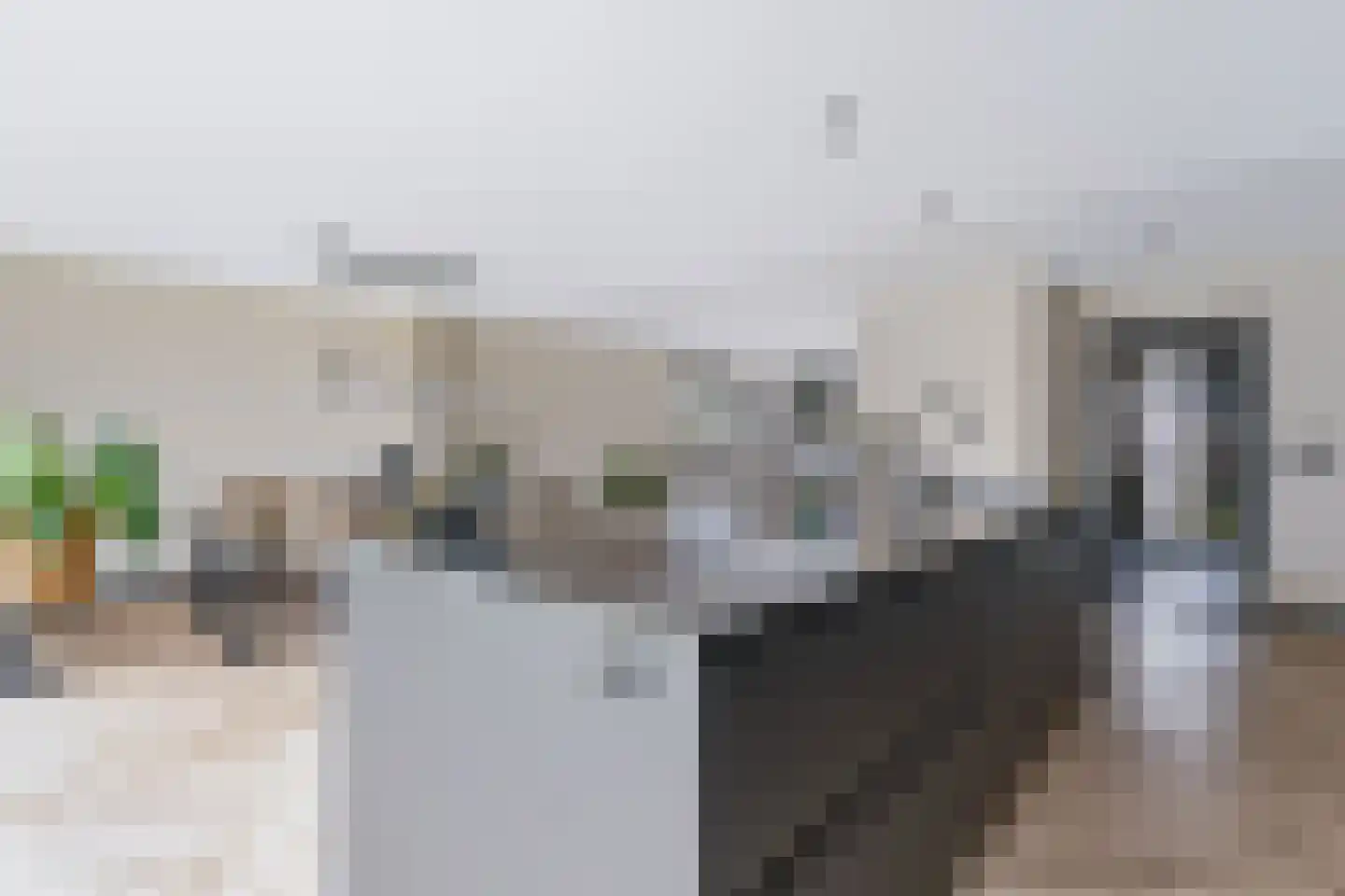 Burg van Rielstraat 23 Giesbeek thumbnail 22