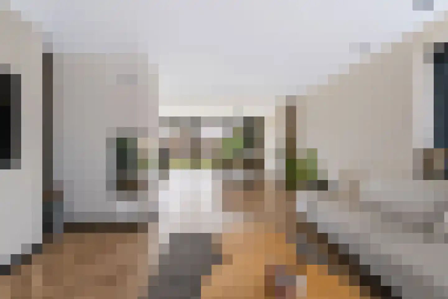 Burg van Rielstraat 23 Giesbeek thumbnail 25