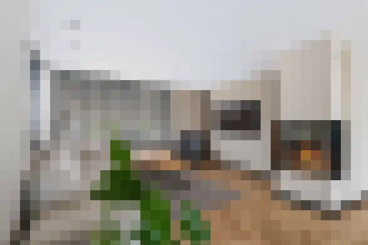 Burg van Rielstraat 23 Giesbeek thumbnail 29