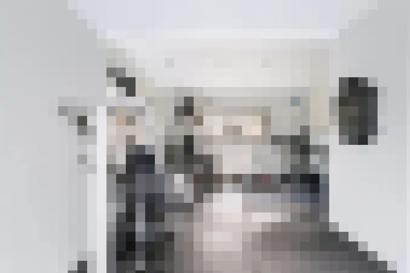 Burg van Rielstraat 23 Giesbeek thumbnail 30