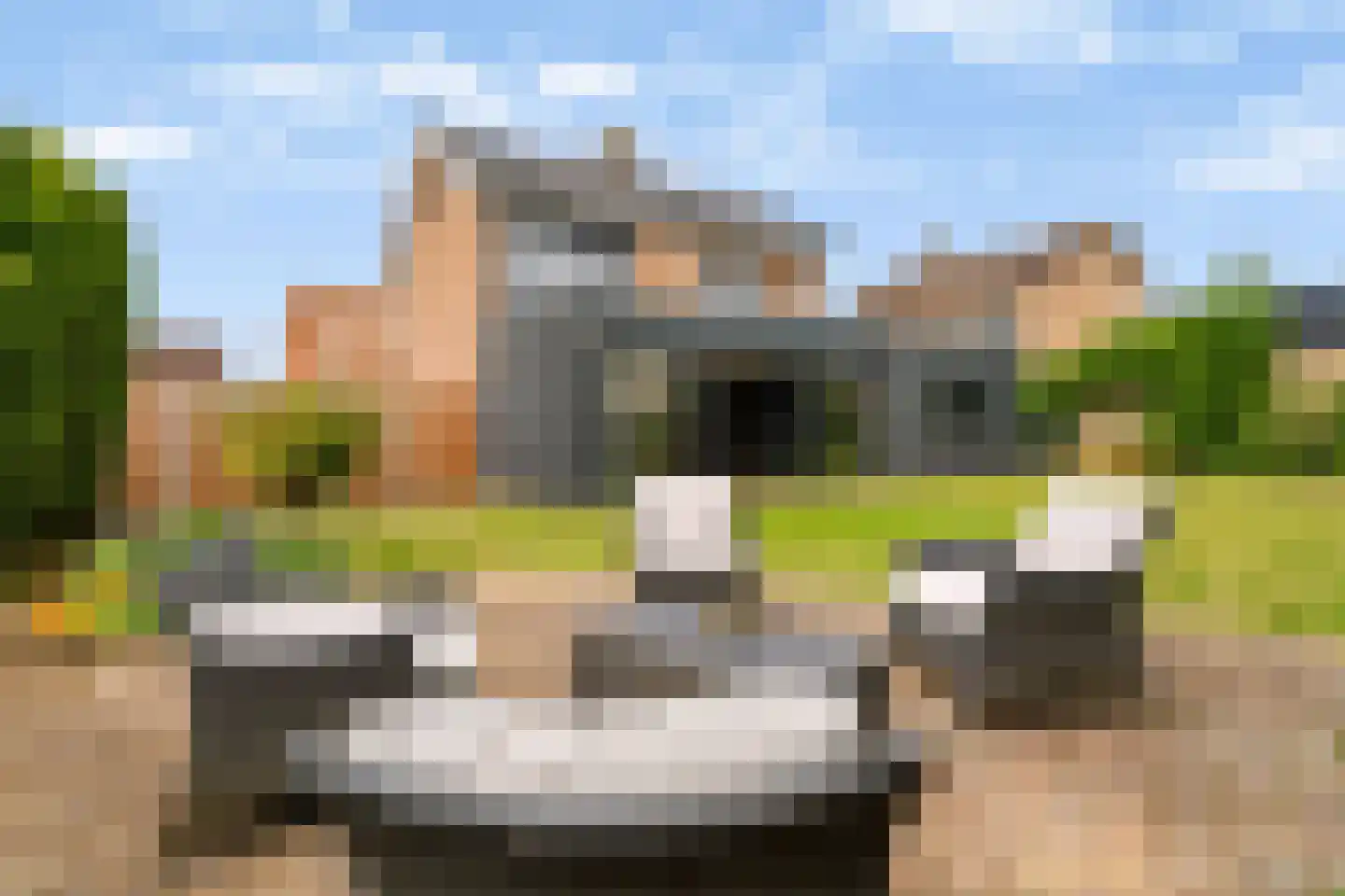 Burg van Rielstraat 23 Giesbeek thumbnail 5