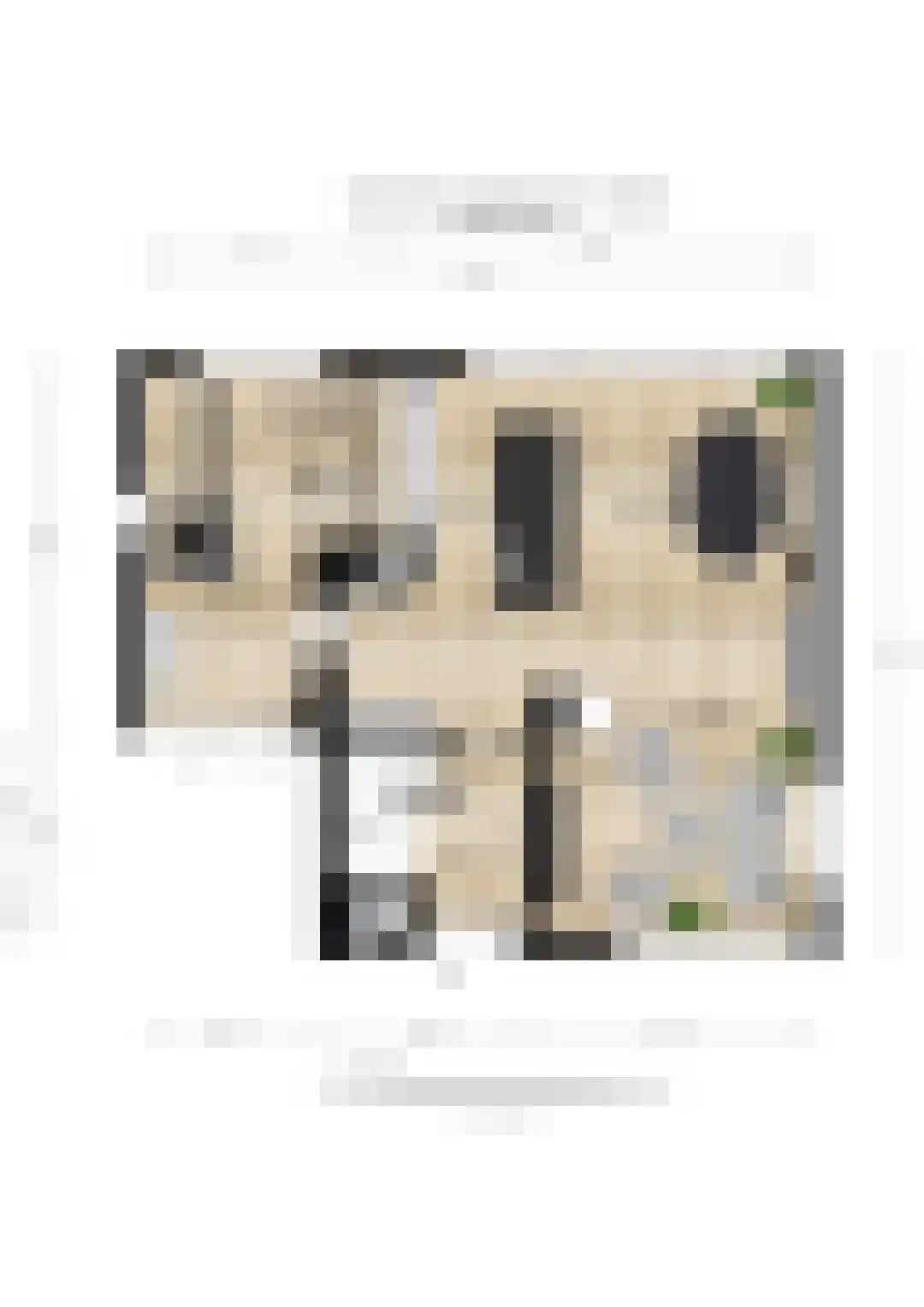 Burg van Rielstraat 23 Giesbeek thumbnail 63