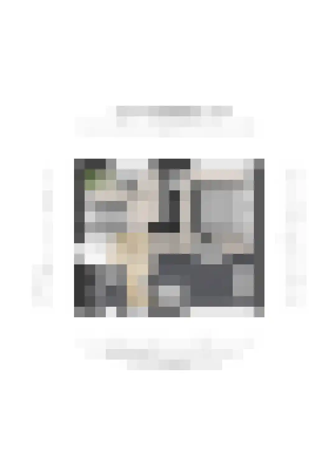Burg van Rielstraat 23 Giesbeek thumbnail 65
