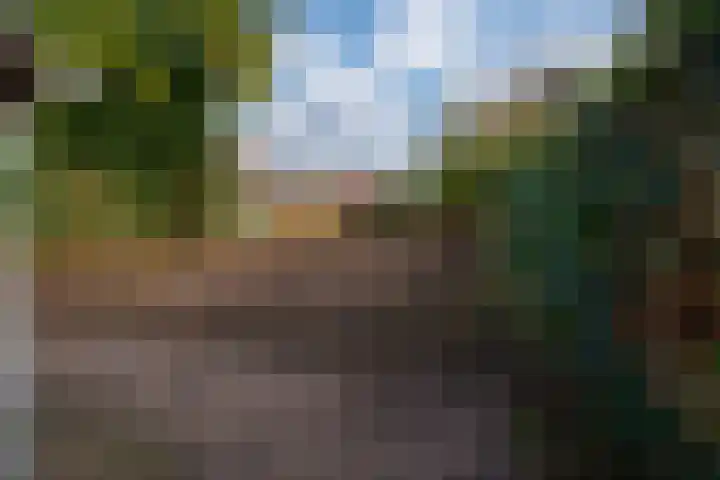 Burg van Rielstraat 5 Giesbeek thumbnail 20