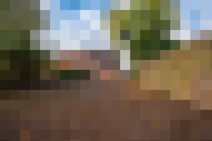 Burg van Rielstraat 5 Giesbeek thumbnail 22