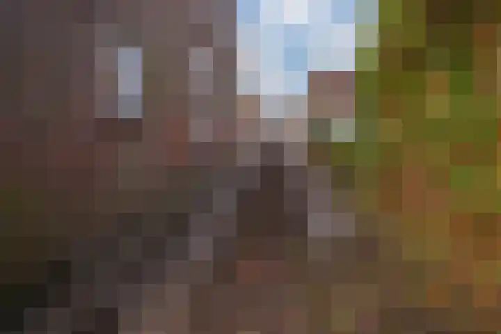 Burg van Rielstraat 5 Giesbeek thumbnail 25