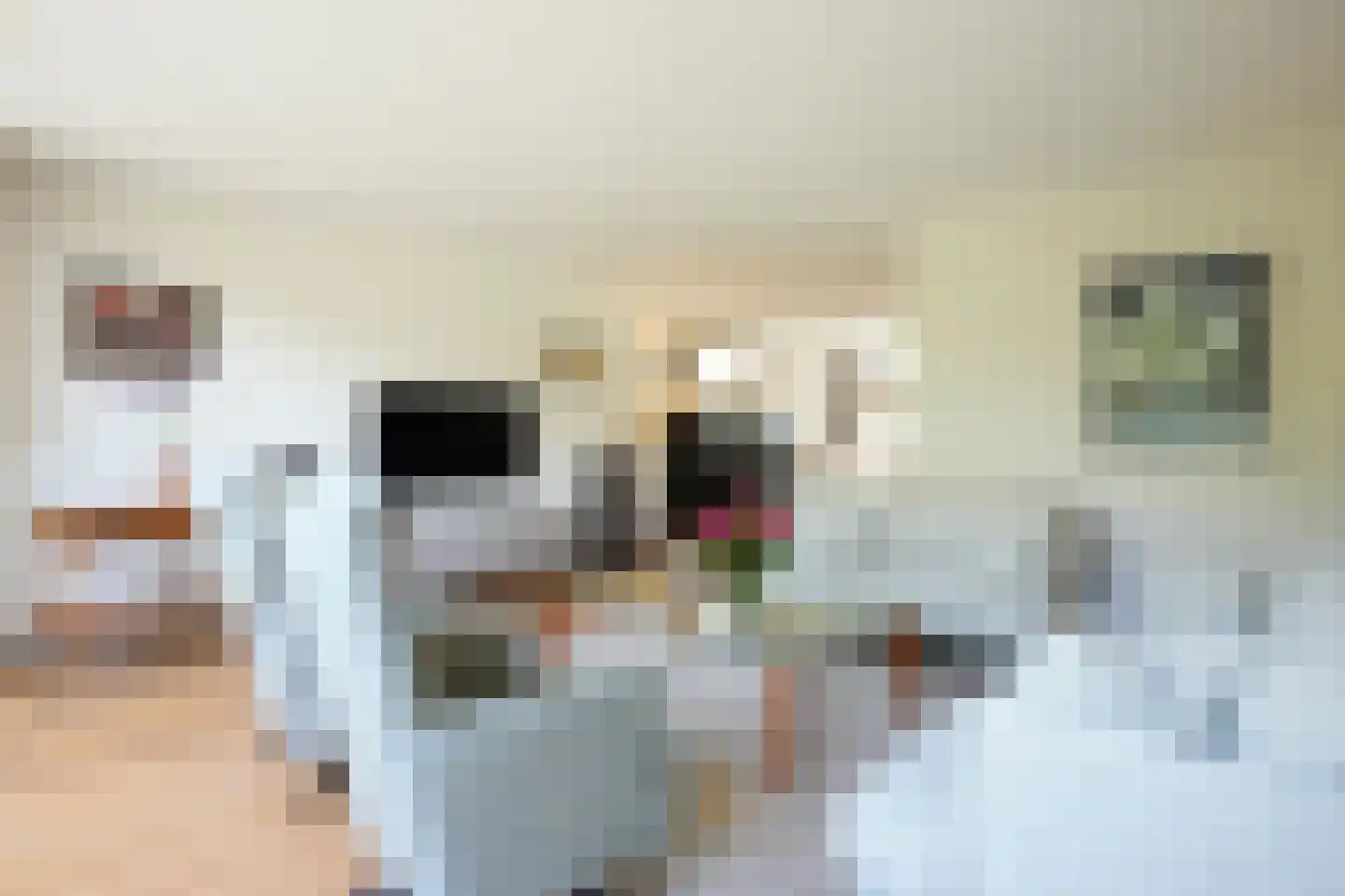 Burg. van Rijckevorselstraat 11 Gulpen thumbnail 6