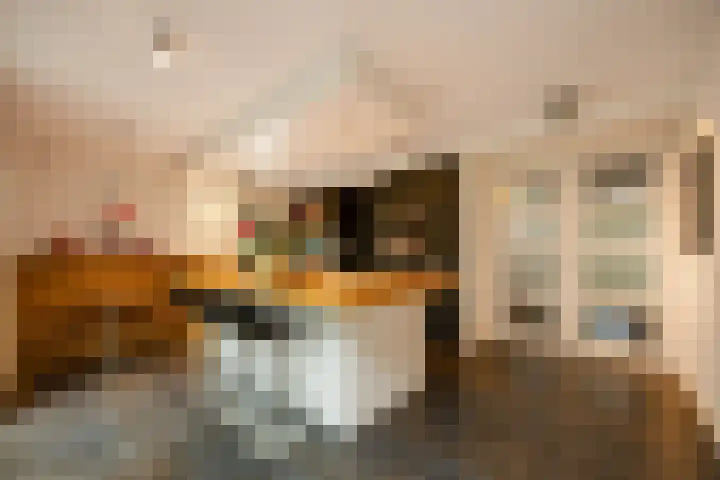 Burg. Van Rijswijkstraat 8 Helvoirt thumbnail 10