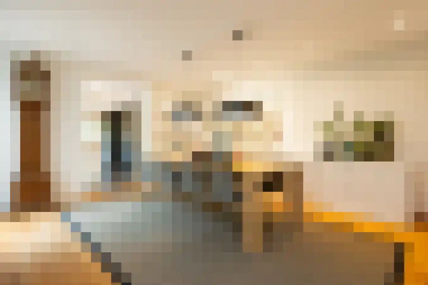 Burg. Van Rijswijkstraat 8 Helvoirt thumbnail 12