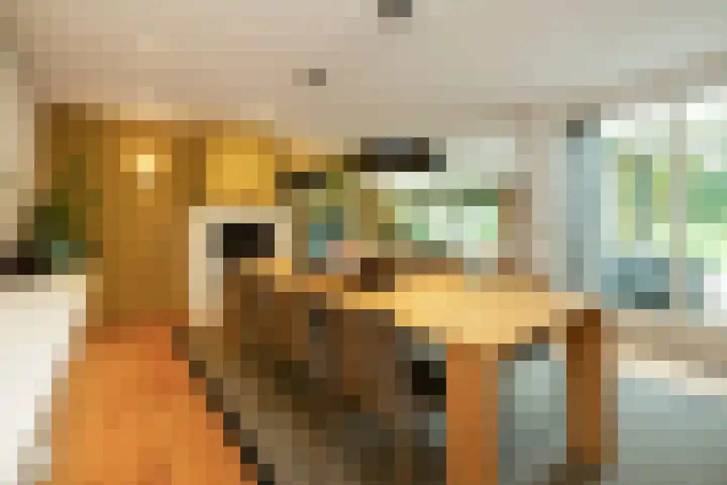 Burg. Van Rijswijkstraat 8 Helvoirt thumbnail 13