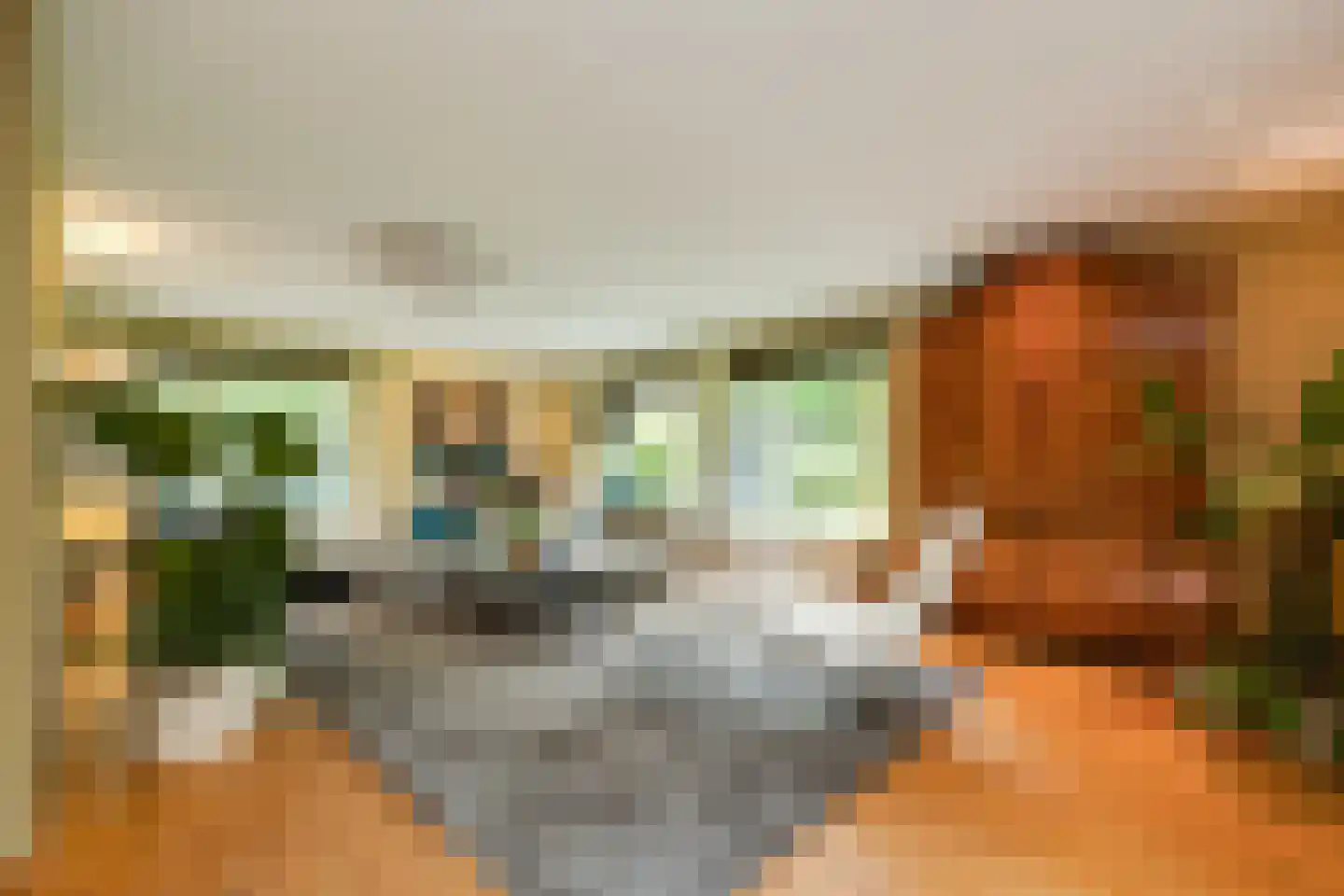 Burg. Van Rijswijkstraat 8 Helvoirt thumbnail 15