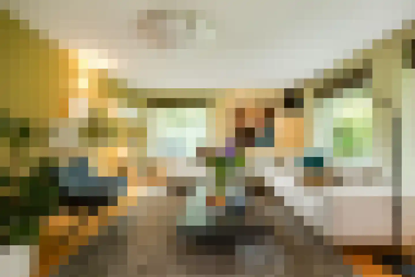 Burg. Van Rijswijkstraat 8 Helvoirt thumbnail 17