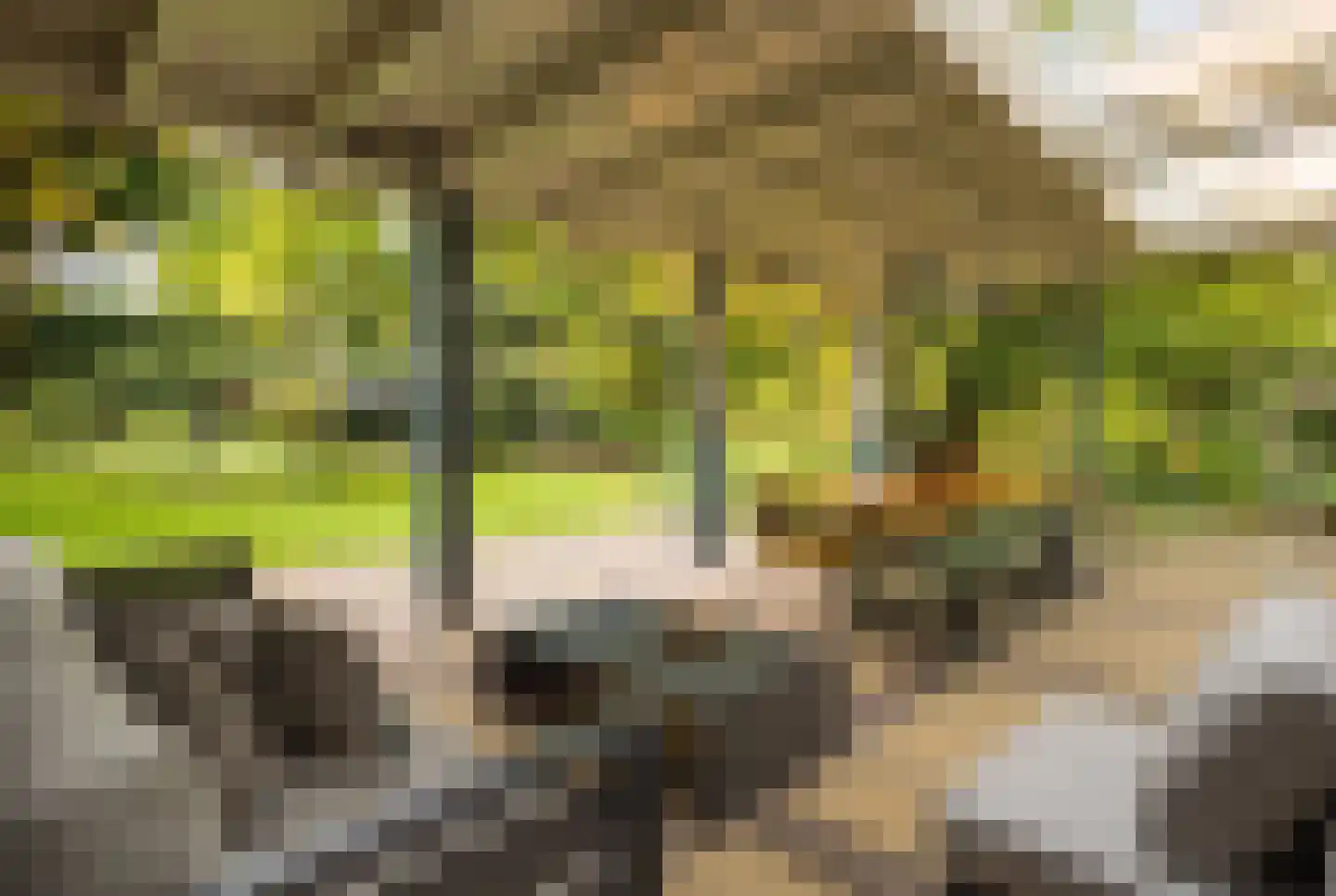 Burg. Van Rijswijkstraat 8 Helvoirt thumbnail 22