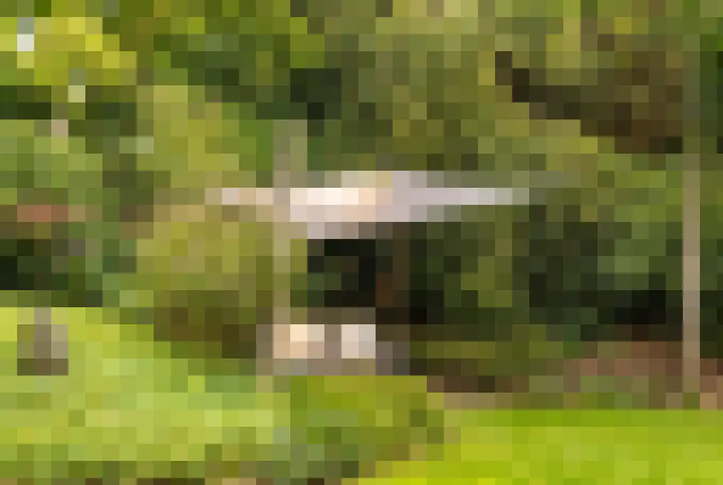 Burg. Van Rijswijkstraat 8 Helvoirt thumbnail 24