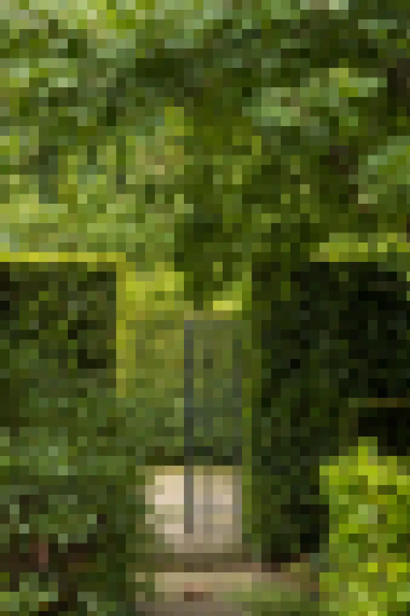 Burg. Van Rijswijkstraat 8 Helvoirt thumbnail 26