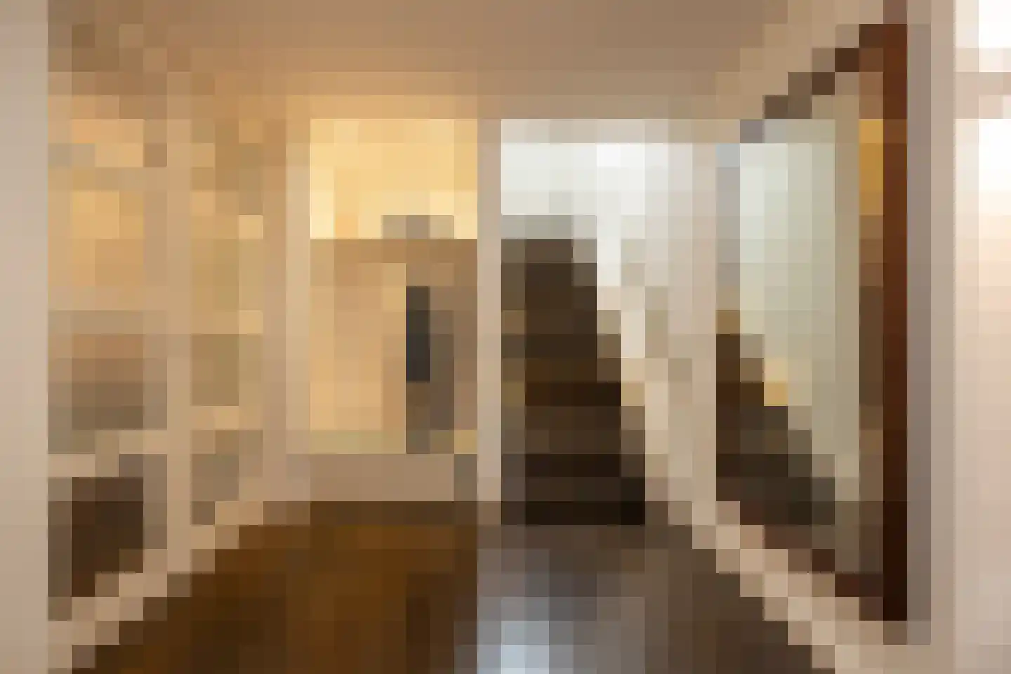 Burg. Van Rijswijkstraat 8 Helvoirt thumbnail 6