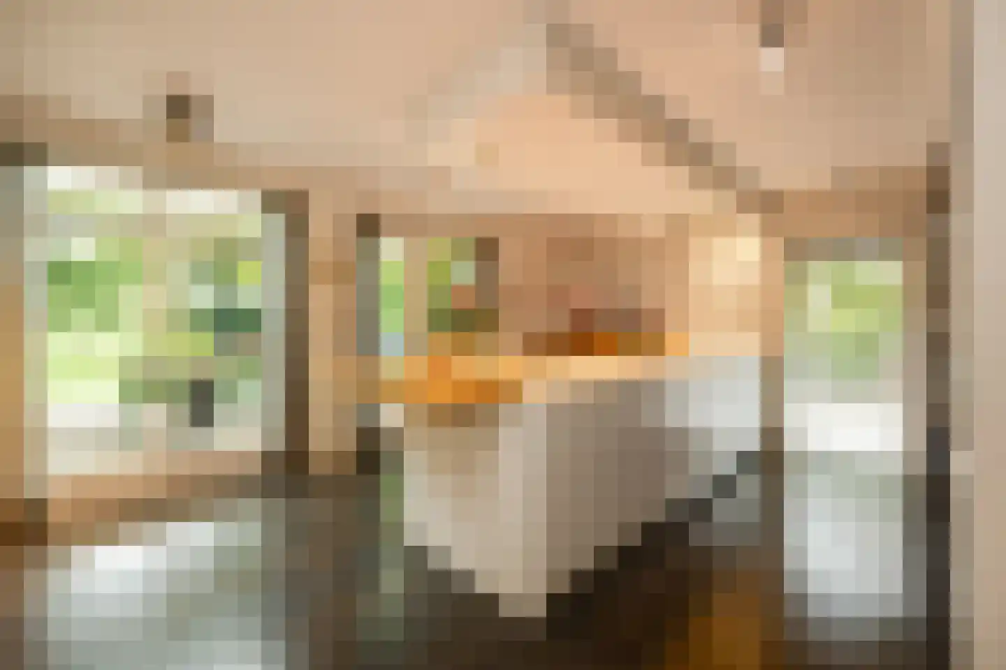 Burg. Van Rijswijkstraat 8 Helvoirt thumbnail 8