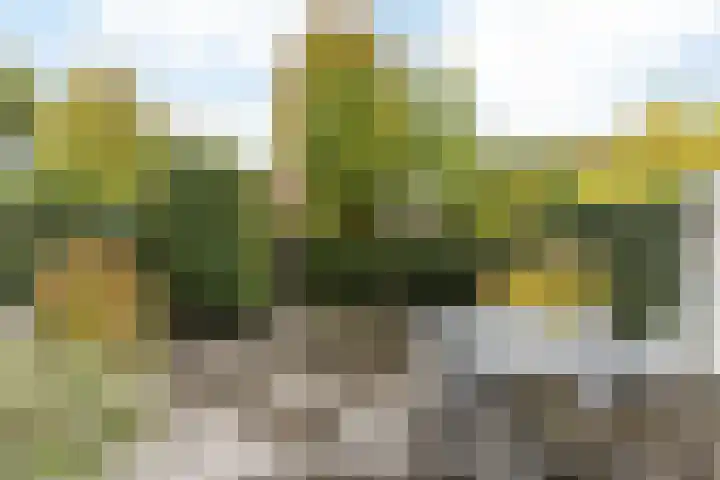 Burg. van Rooystraat 41 Heerlen thumbnail 39