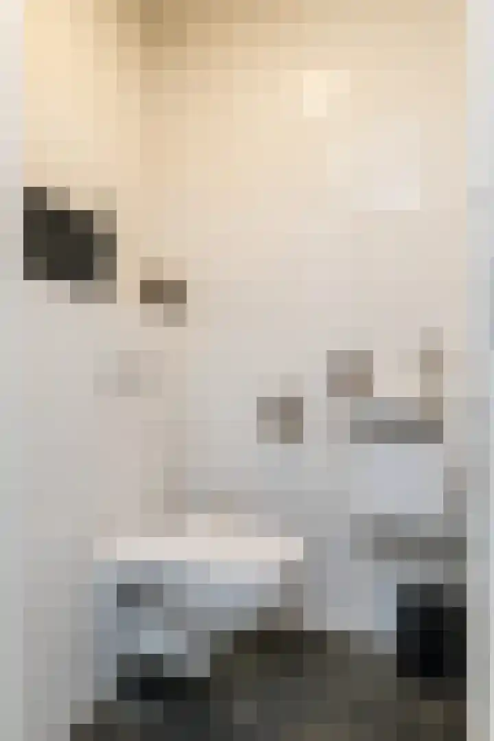 Burg. van Rooystraat 41 Heerlen thumbnail 4