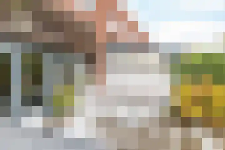 Burg. van Rooystraat 41 Heerlen thumbnail 41