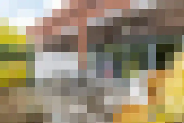 Burg. van Rooystraat 41 Heerlen thumbnail 42