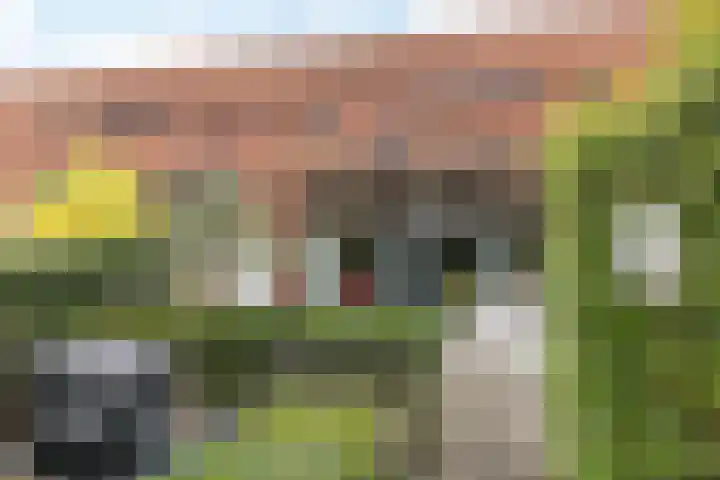 Burg. van Rooystraat 41 Heerlen thumbnail 45