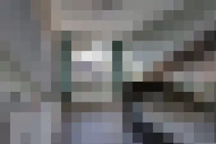 Burg.van Sandickstraat 11 Nieuwleusen thumbnail 22