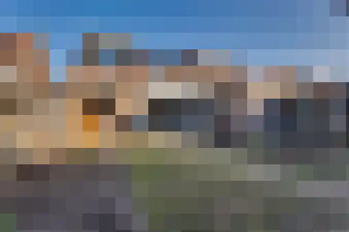 Burg.van Sandickstraat 11 Nieuwleusen thumbnail 31