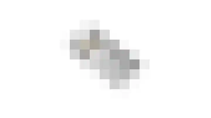 Burg.van Sandickstraat 11 Nieuwleusen thumbnail 47