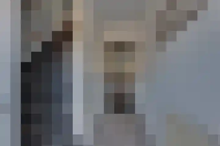 Burg.van Sandickstraat 11 Nieuwleusen thumbnail 6
