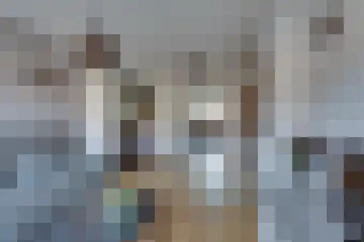 Burg.van Sandickstraat 11 Nieuwleusen thumbnail 9