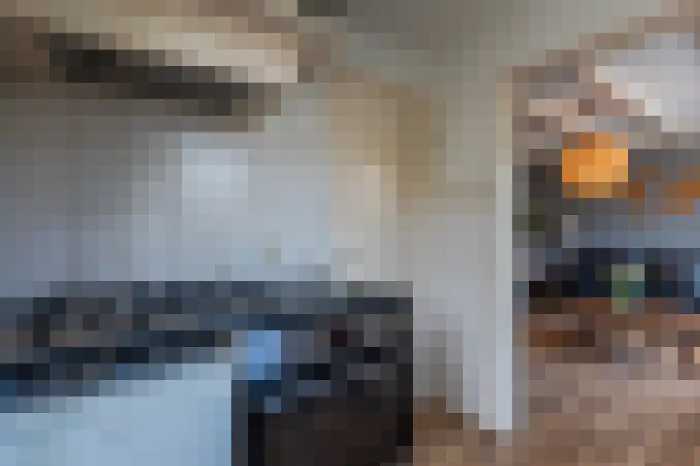 Burg.van Sandickstraat 44 Nieuwleusen thumbnail 11