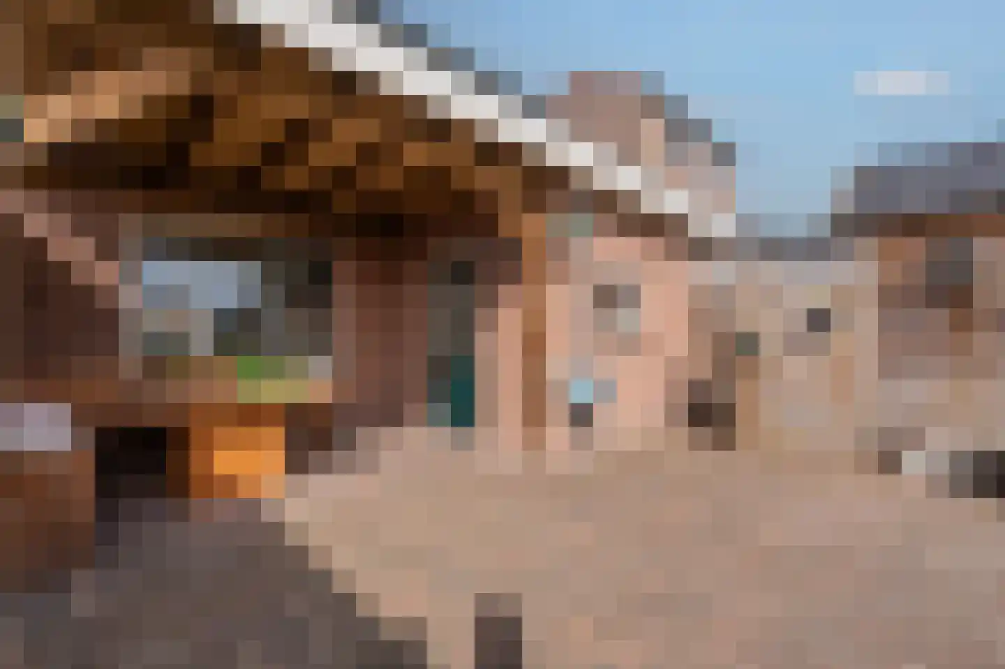 Burg.van Sandickstraat 44 Nieuwleusen thumbnail 27