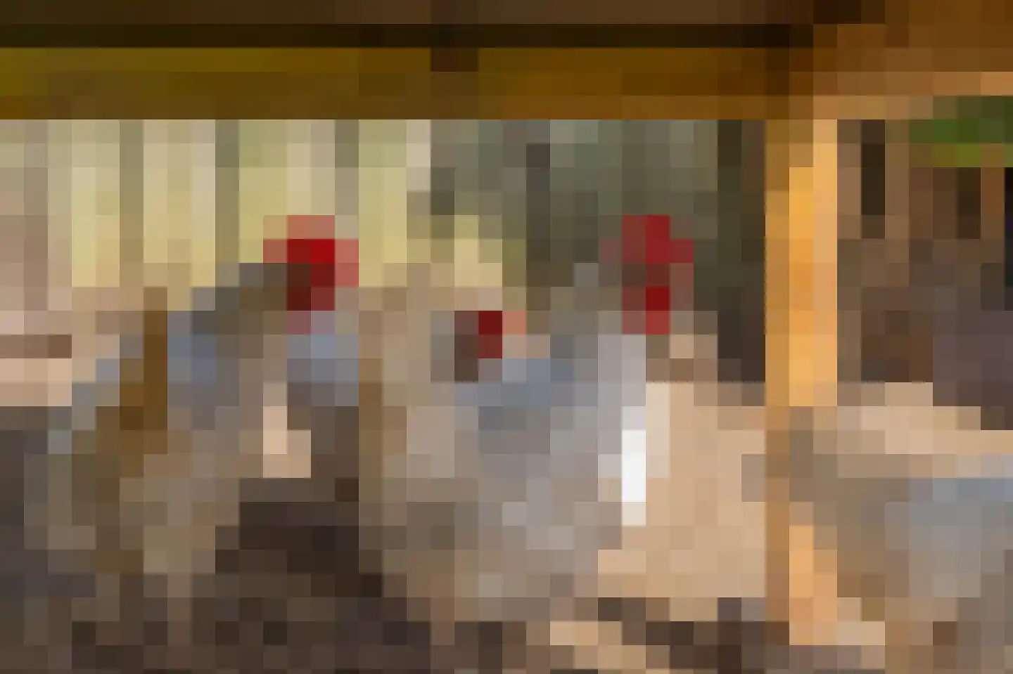 Burg.van Sandickstraat 44 Nieuwleusen thumbnail 36