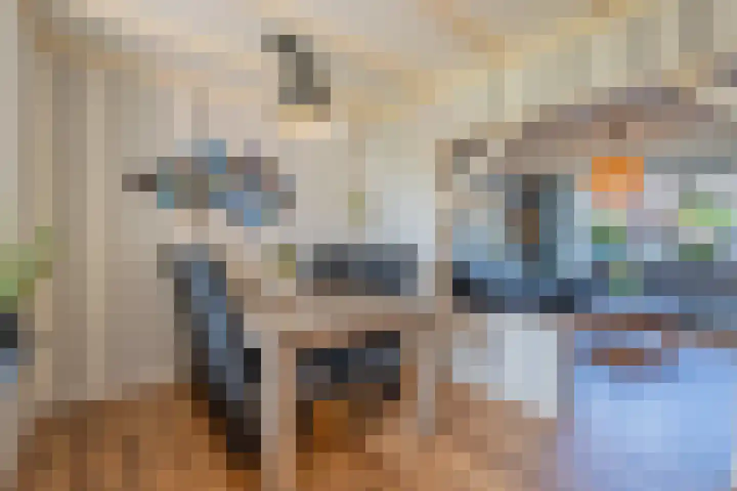 Burg.van Sandickstraat 44 Nieuwleusen thumbnail 6