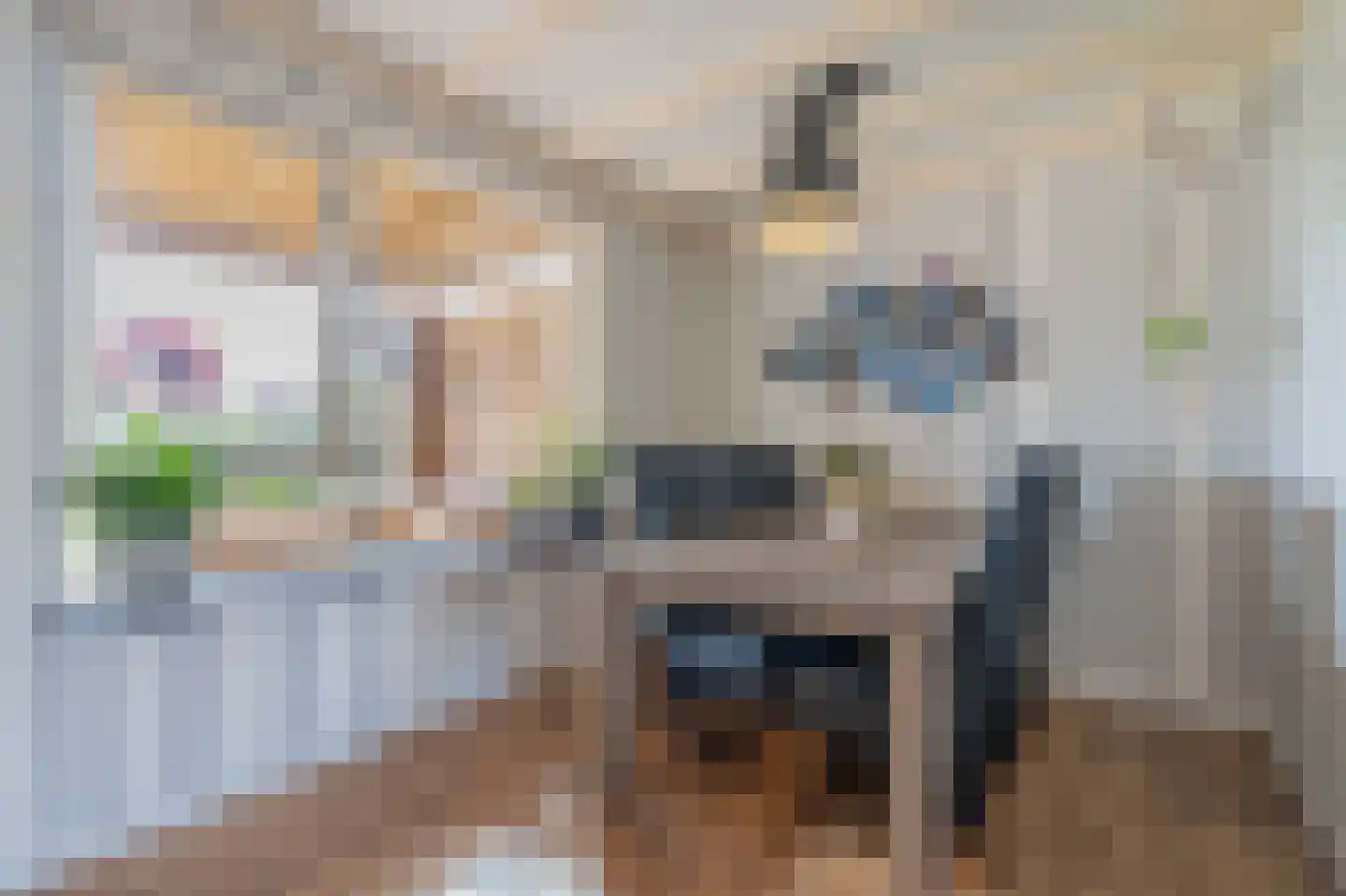 Burg.van Sandickstraat 44 Nieuwleusen thumbnail 7