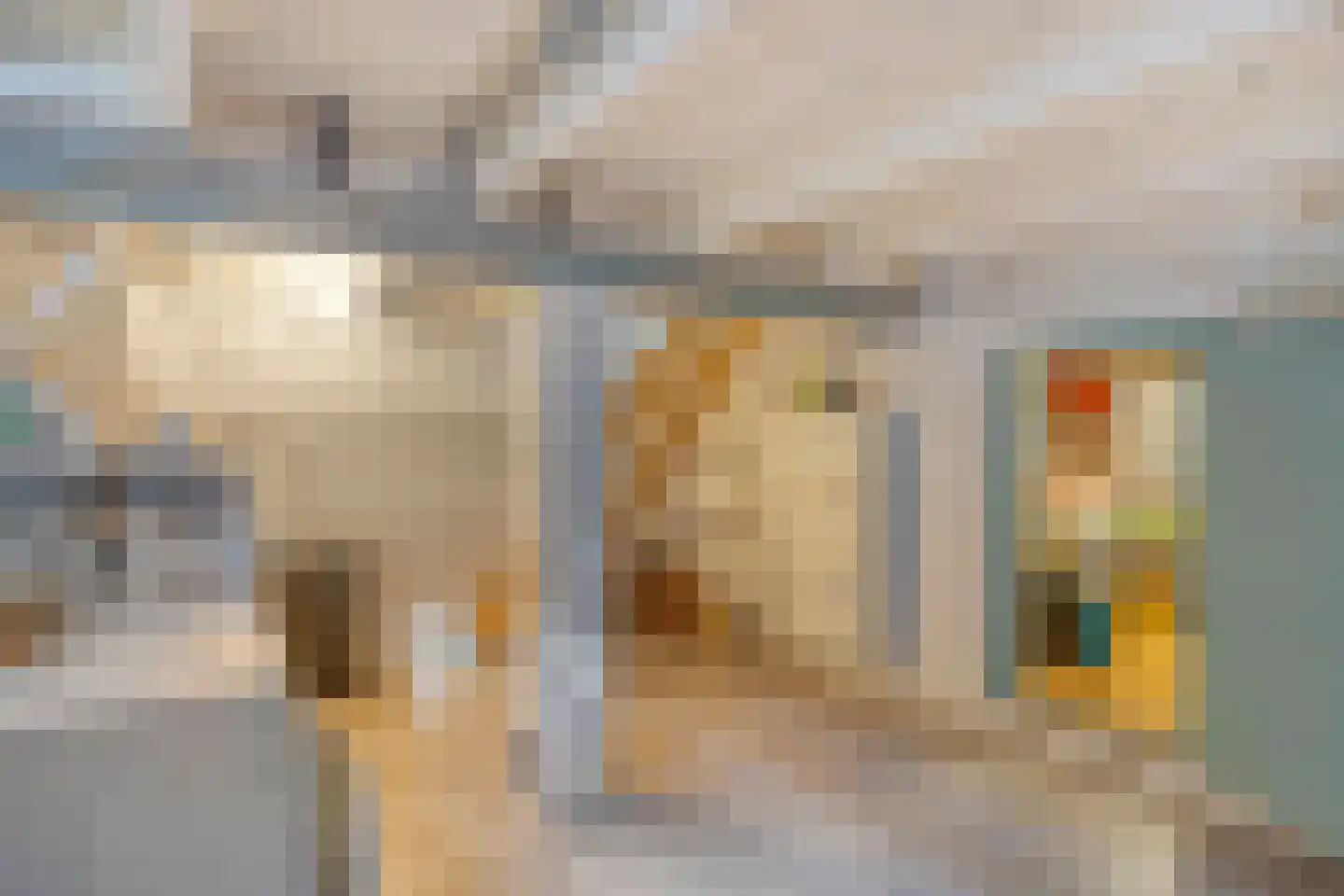 Burg. Van Suchtelenstraat 3 Deventer thumbnail 12