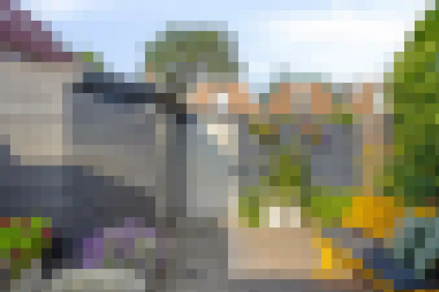 Burg. Van Suchtelenstraat 3 Deventer thumbnail 23