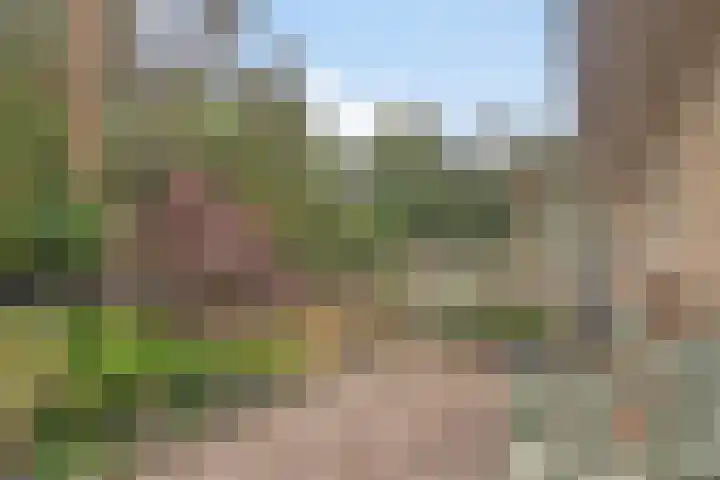 Burg. Van Tuyll-laan 20 Zeist thumbnail 17