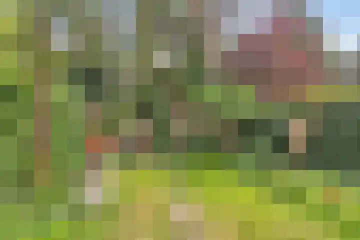 Burg. Van Tuyll-laan 20 Zeist thumbnail 30