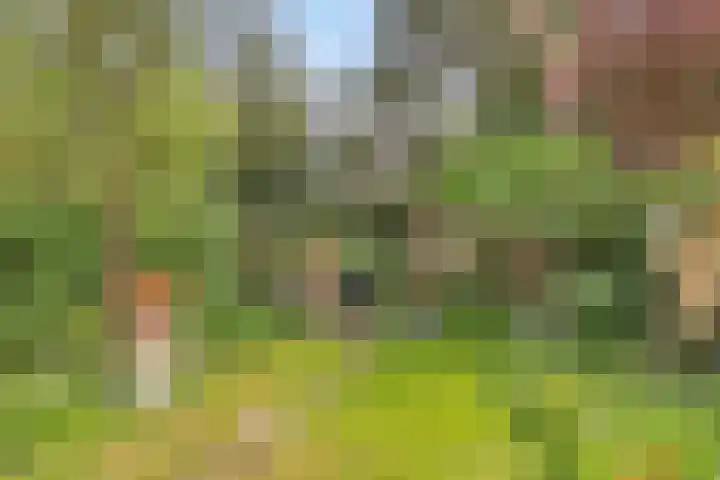 Burg. Van Tuyll-laan 20 Zeist thumbnail 31