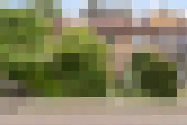 Burg. Van Tuyll-laan 20 Zeist thumbnail 34