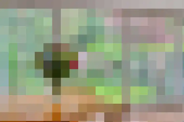 Burg. Van Tuyll-laan 20 Zeist thumbnail 8
