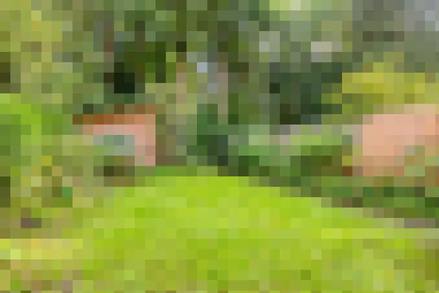 Burg. Van Tuyll-laan 46 Zeist thumbnail 24