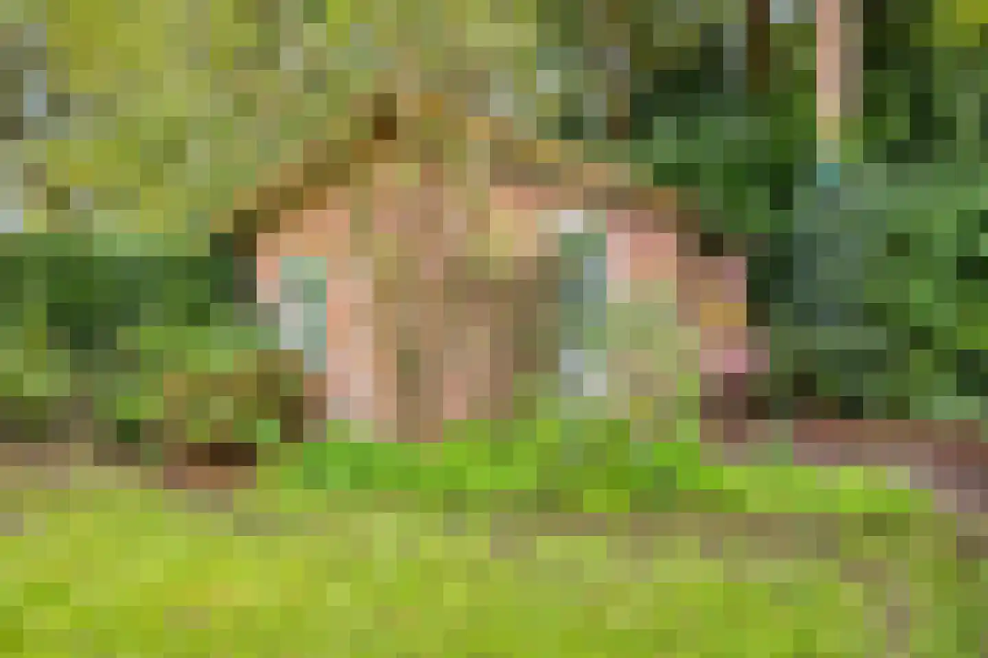 Burg. Van Tuyll-laan 46 Zeist thumbnail 25