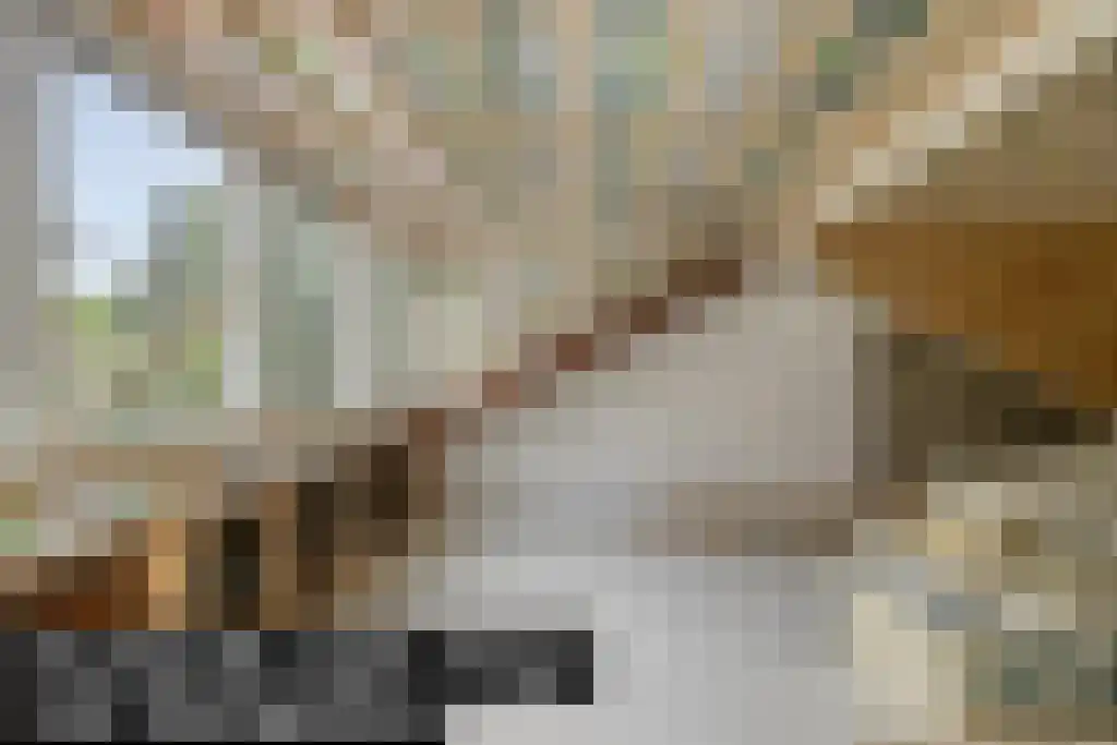 Burg. Van Tuyll-laan 46 Zeist thumbnail 29