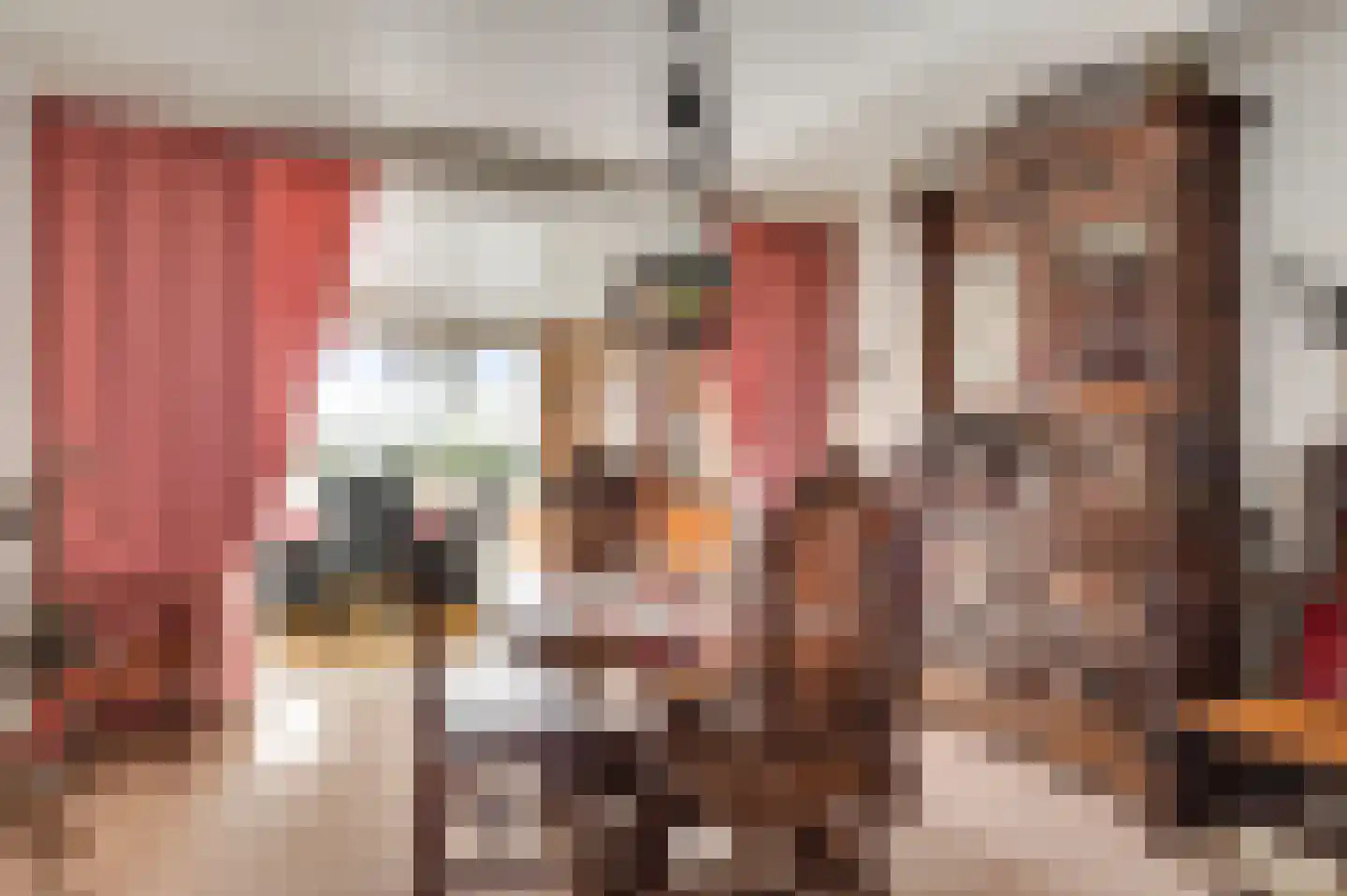 Burg. van Udenstraat 14 Nederweert thumbnail 14
