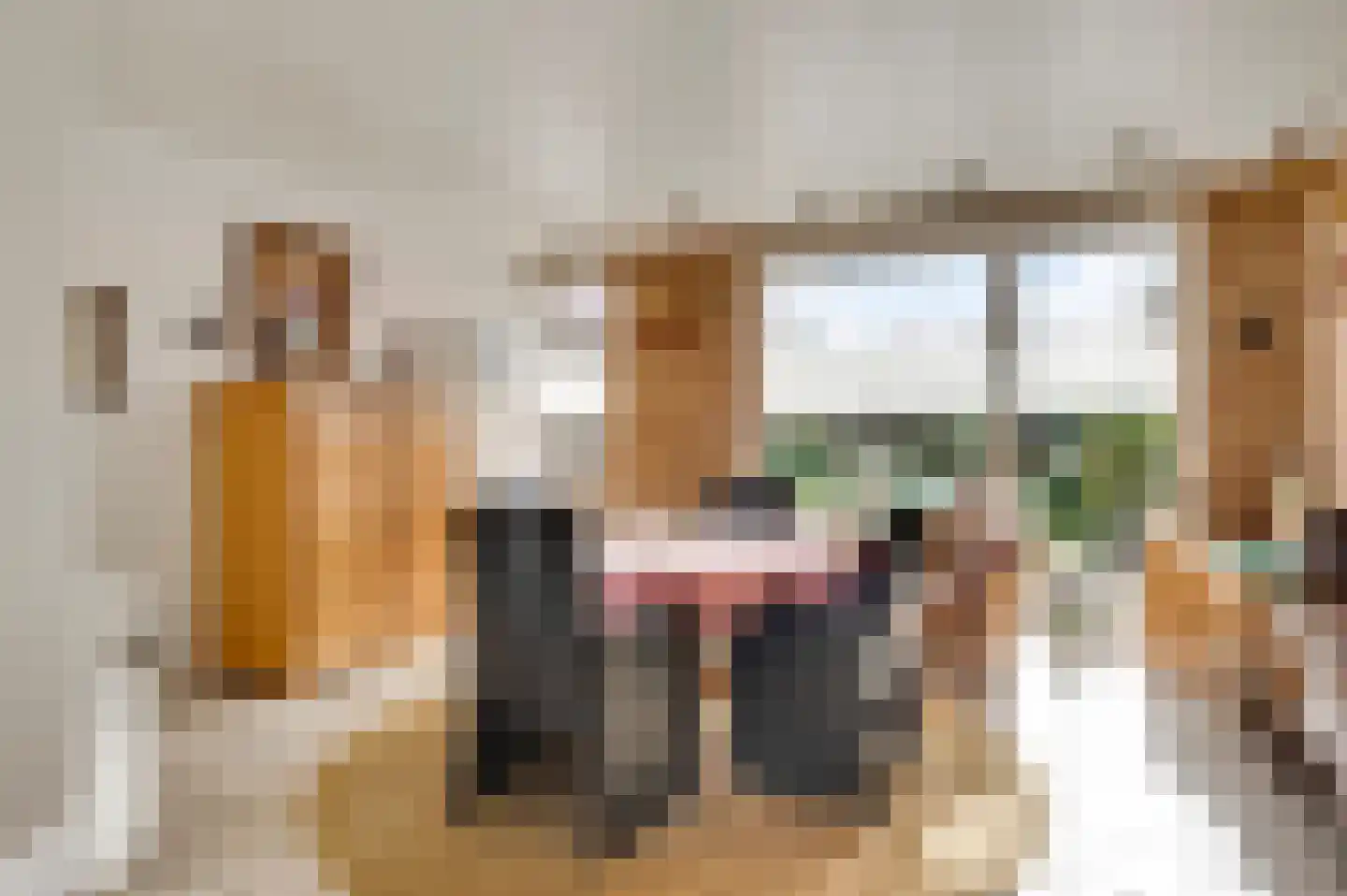 Burg. van Udenstraat 14 Nederweert thumbnail 15