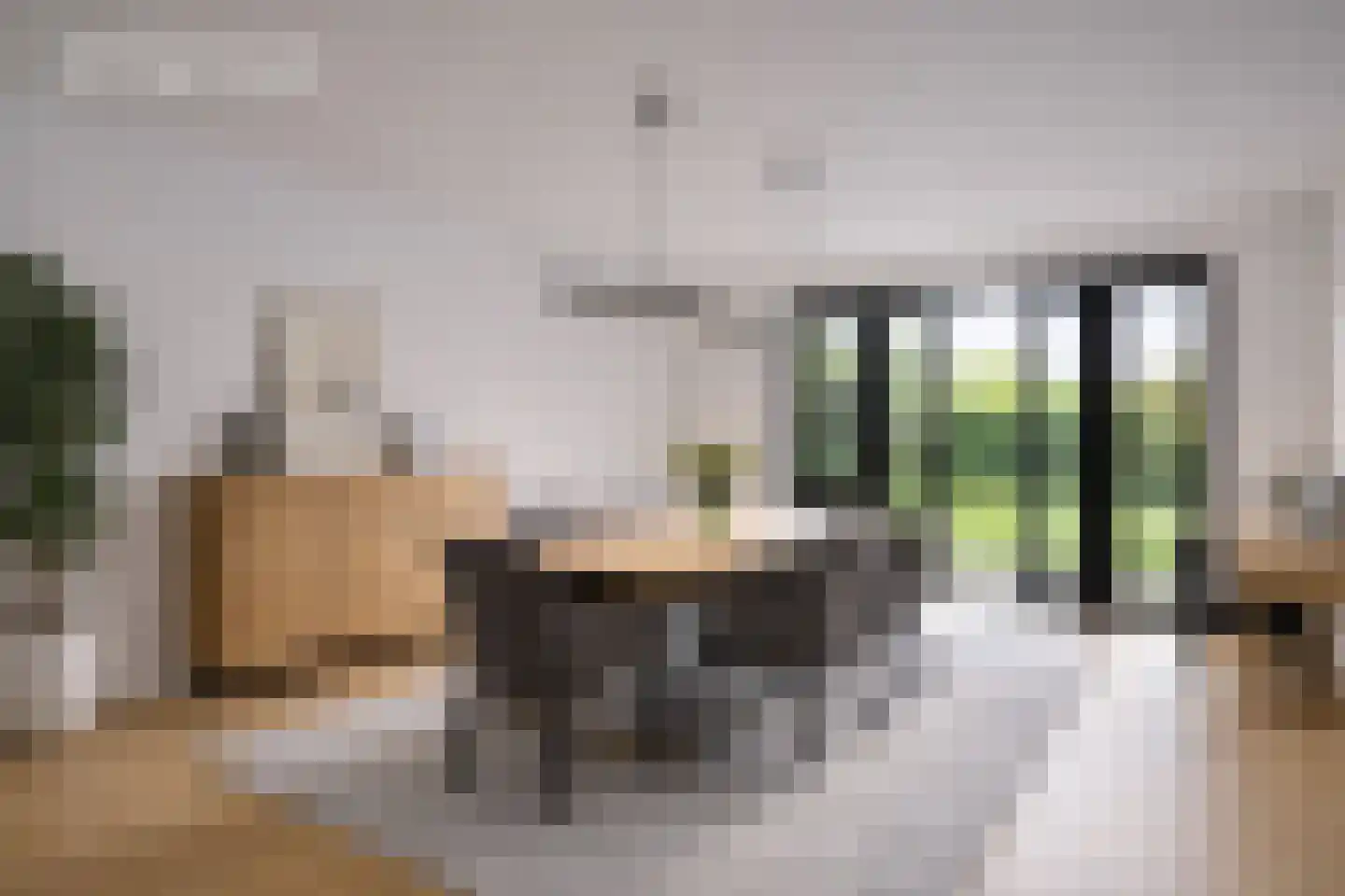 Burg. van Udenstraat 14 Nederweert thumbnail 16